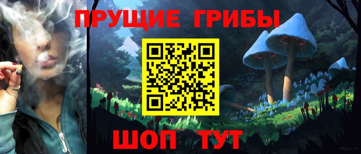 Губаха  Псилоцибиновые грибы ЛСД  Вход с VPN 
